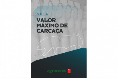 agpic-maximo-valor-carcaca2